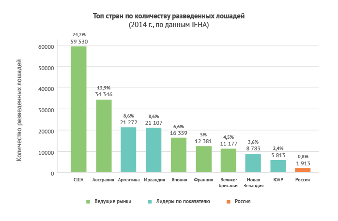 Статистика ставок на скачки new winline букмекерская контора